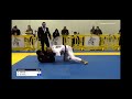 Rayron gracie vs rohan patel