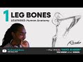 CK Anatomy Training: LEG BONES - Part 1 —1ST STREAM BACK!!