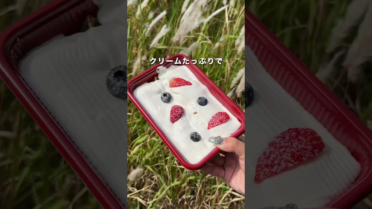 コスパ最強すぎる500円ケーキ弁当🍰
