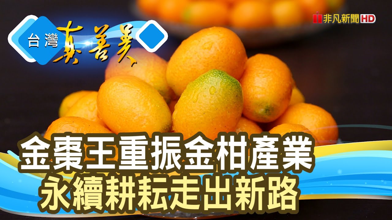 不屈服命運的“金棗王”｜宜富金棗觀光果園｜【台灣真善美】2025.03.09