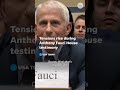 'You're not Dr., you're Mr.': Marjorie Taylor Green admonishes Dr. Fauci in House hearing