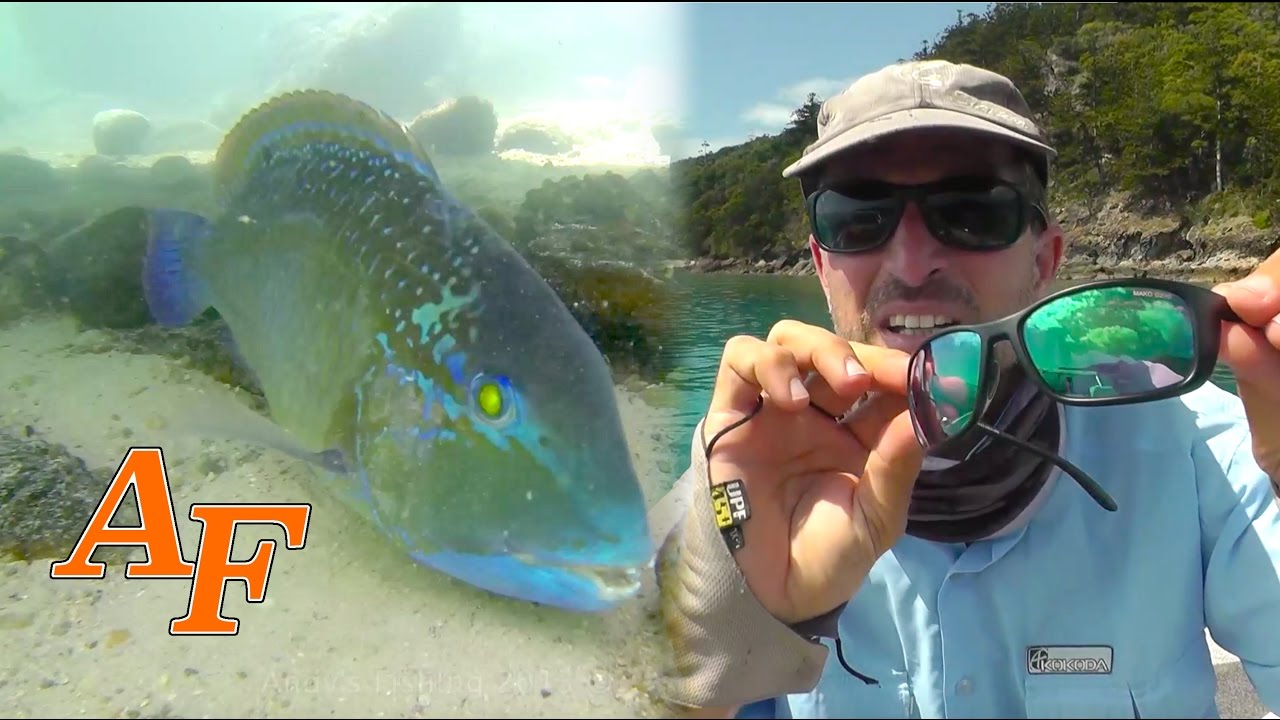 kayak flight Fly Fishing with new Mako Sunglasses Andy's Fish Video EP.344