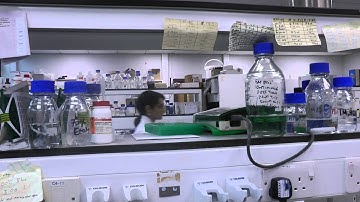 Defying Dementia - A day in the life of a neuroscience PhD student!