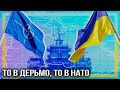 Химера по-киевски: почему Украину не берут в НАТО