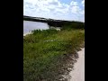 Avoiding a Sleeping Gator
