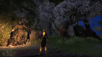 Animation Canceling and Light Attack Weaving in ESO