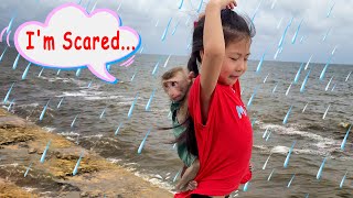 Pupu monkey encounters a typhoon while at the beach with MUN.