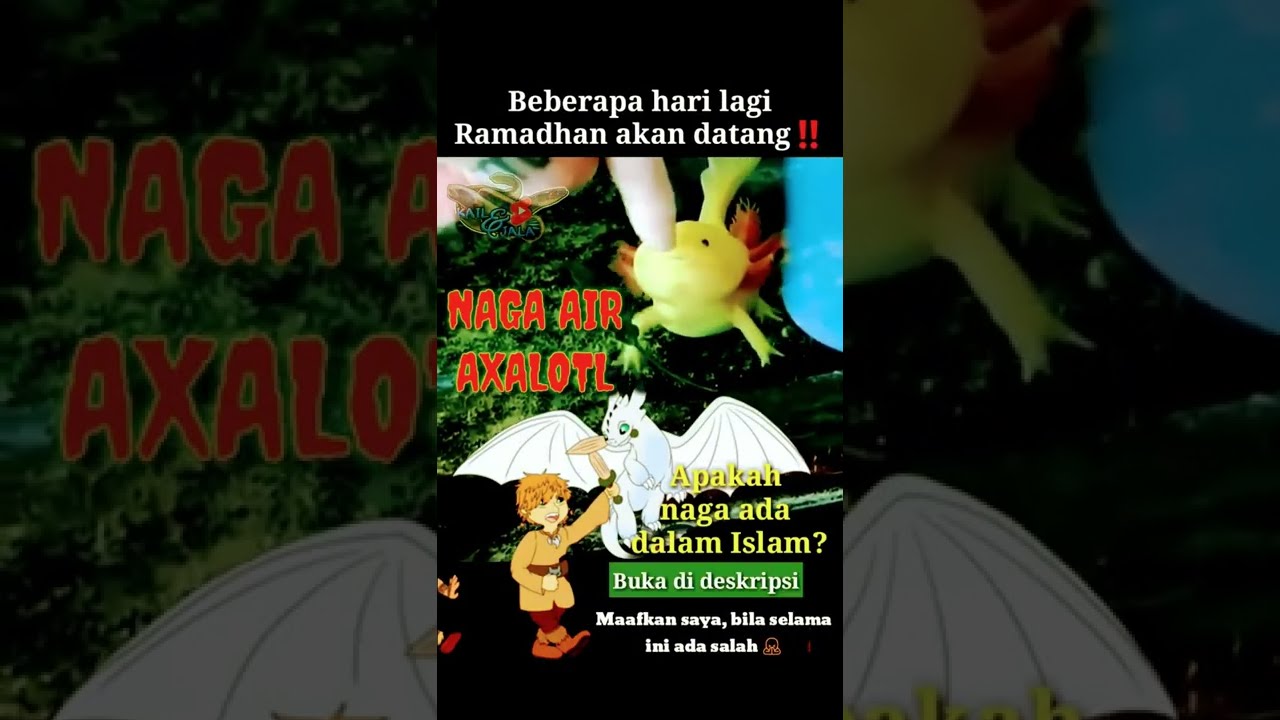 #shorts | NAGA AIR LUCU AXALOTL | KEBENARAN NAGA MENURUT ISLAM