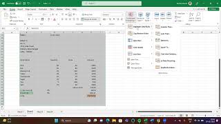 St Xavier College CIA Practical Excel screenshot 3