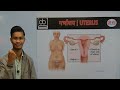 UTERUS (गर्भाशय) क्या है? | Female Reproductive System Full Explained | NEET 2027 | 12th Biology |
