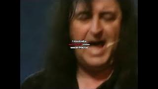 Bonfire-Love don`t lie-The Räuber
