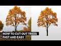 How to cutout trees - fast and easy!