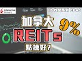 💹IB收息投資💹 加拿大 9% REITs 點揀好? |  IB 教學 | 投資 收息 REIT | Canada REITs | 投資2020 | 投資組合 | EP48