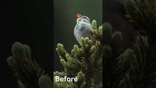 Watercolour Effect in Photoshop