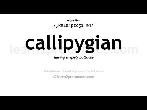 Vídeo: Quin significat té cal·lipigian?