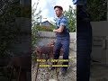это видео я посвящаю своим подписчикам смешной видео ролик запахло весной