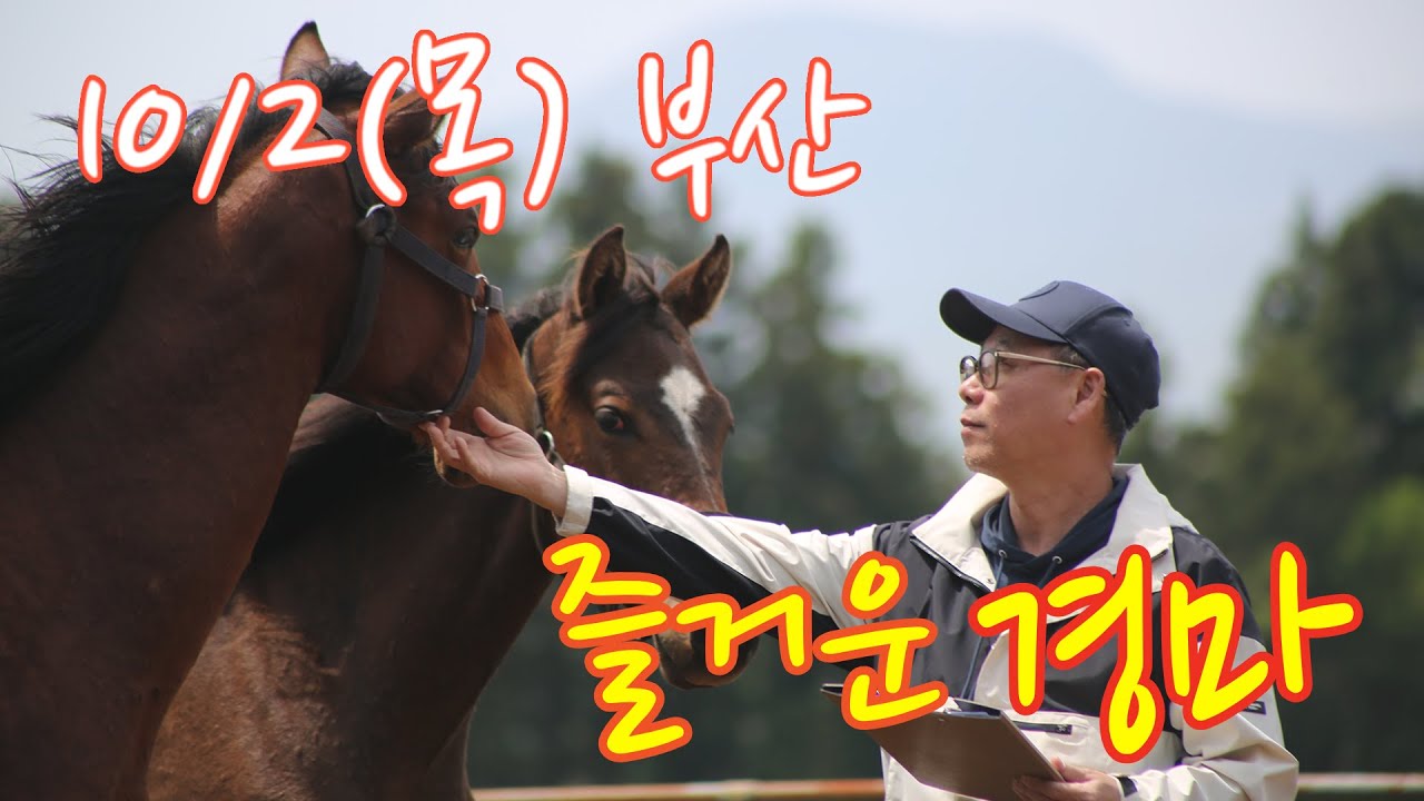 김호경마 10월 2일 목요일 부산경마방송