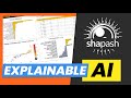 Making Sense of Data with Explainable AI (shapash Python library)