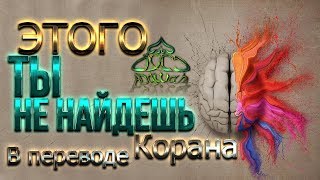 ВЫ ЭТОГО НЕ НАЙДЕТЕ В ПЕРЕВОДЕ КОРАНА - Нуман Али Хан - Изумленный Кораном