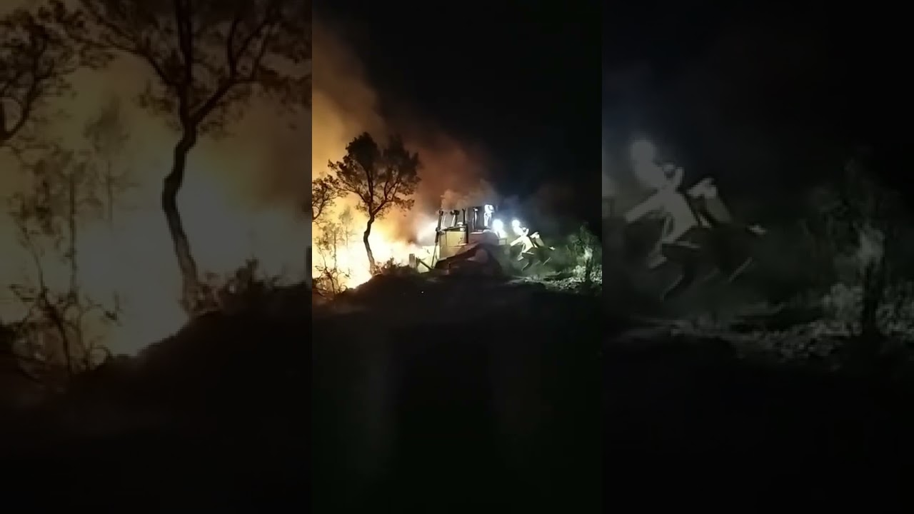 Noche dura en el incendio de Losacio, donde se lucha con rabia, en homenaje a Daniel Gullón