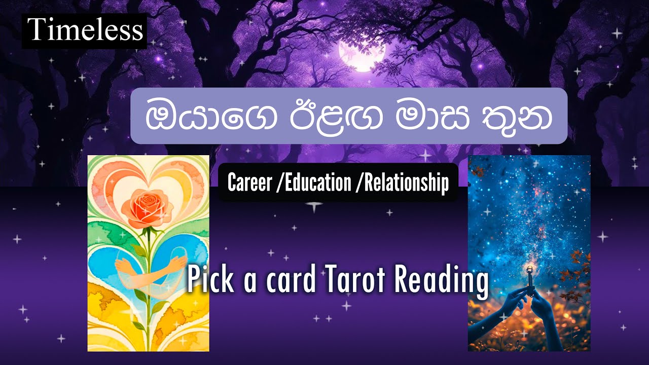 ඊළඟ මාස තුළ ඔයාගෙ life එකේ මොනවද වෙන්නේ?🧿❤️💰🎓 | Next 3 months Prediction🔮💜
