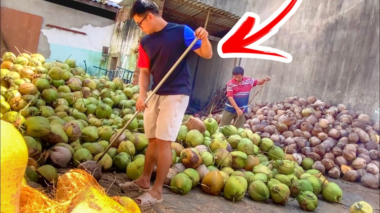 A Day of Work of a Rural Young Man on a Coconut Farm