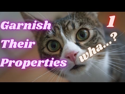 Suit 101: Garnishment, Mandatory Injunction, Replevin, Sequestration (Pt 1) Different Means-Preview