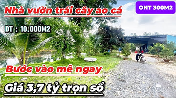 Không gian sống trong lành – Nhà vườn trái cây ao cá, 1ha giá chỉ 3,7 tỷ ! Sầu riêng.chôm chôm vv…