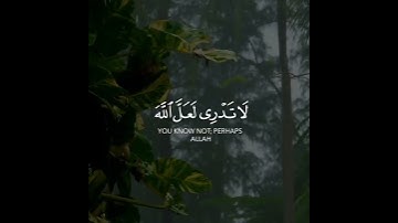 سورة الطلاق | القارئ رعد الكردي