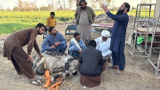 Zindagi Aur Maut Ki Jang Hamari Gaye Emergency Mein 