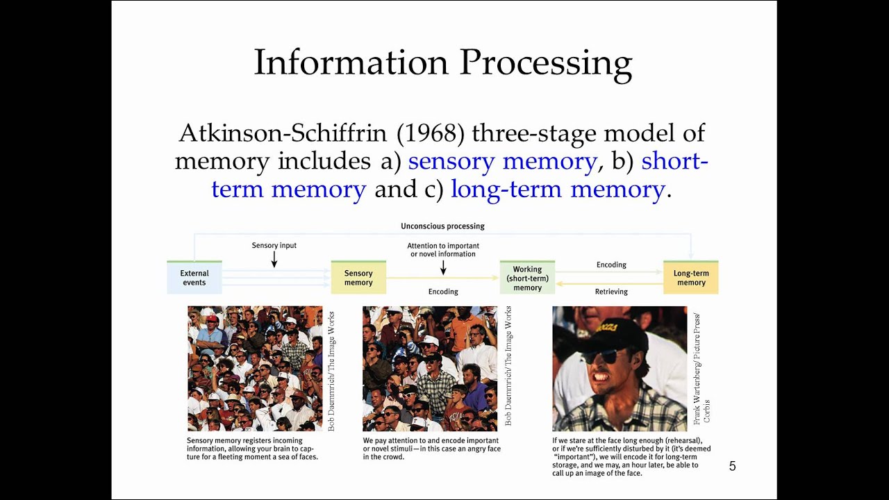 Lecture Fourteen: Introduction to Memory - YouTube