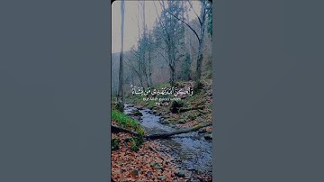 تلاوة هادئة تريح القلب راحة نفسية القران شفاء الروح سبحان الله #القران #القرآن_الكريم #اكسبلور
