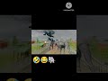 Grandpa Alien Escape Games Elephant 🤣😂 🐘 AMV Edit Tutorial ZNK Games #edit