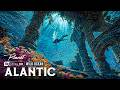 Atlantic Incredible | The Wild Creatures That Defy Nature and Rewrite Its Rules | 4K Documentary