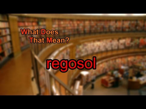 What does regosol mean?