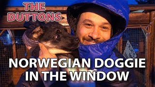 Video thumbnail of "The Duttons - How Much Is That Doggie in the Window #duttontv #branson #duttonmusic"