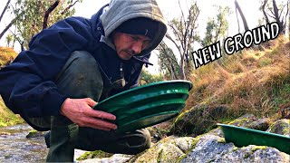 How I Find Gold Pickers in Bedrock and Creeks! #gold