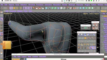 scapula PLUS shoulder rig