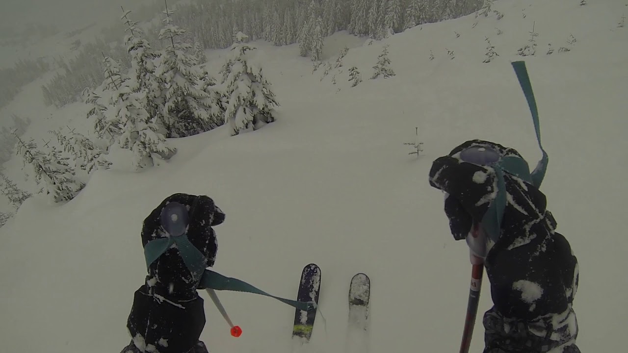 Epic Powder Day: Hemlock Valley Resort BC