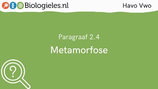 Havo Vwo 1 | Onderzoek | 4. Metamorfose | Biologieles.nl