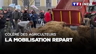 Colère des agriculteurs : la mobilisation repart