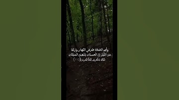 سورة هود #قرآن #اكسبلور #لايك #حالات_واتس