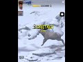 Hunting Field_Fl.5 by Valentine_Marshal36-Legacy Max