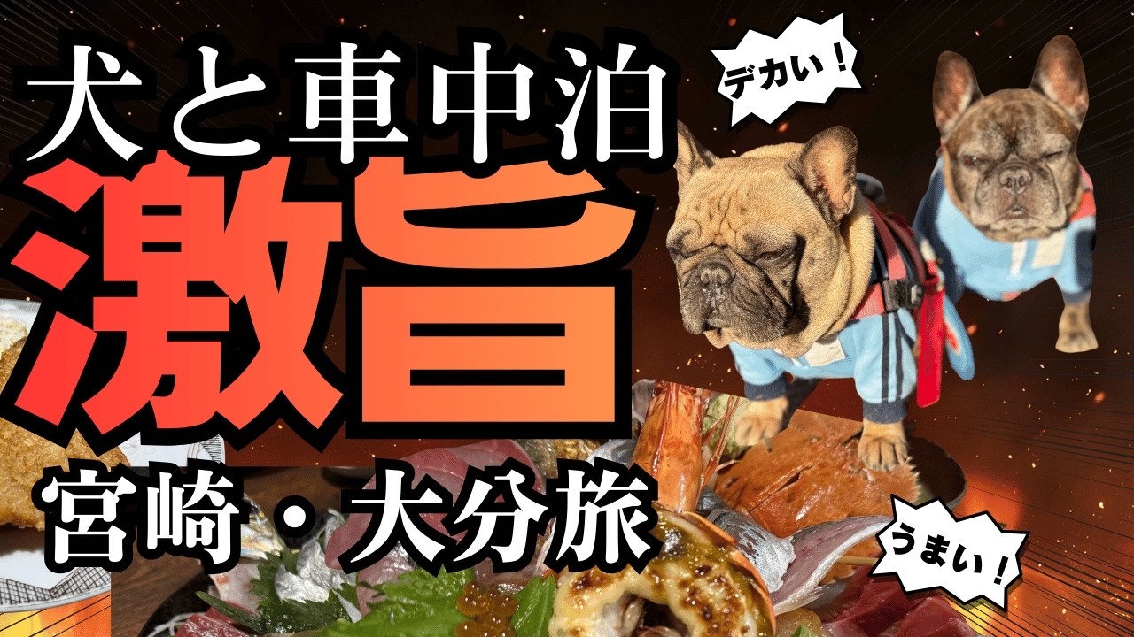 【犬と車中泊旅】激旨デカ！海鮮丼とまさかの高鍋城跡と道の駅やよいで車中泊