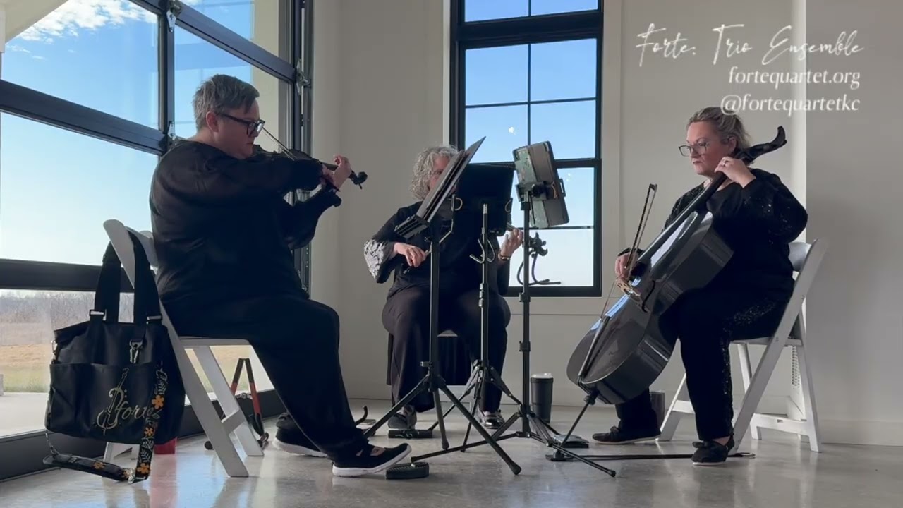 Fate of Ophelia - String Trio Arrangement