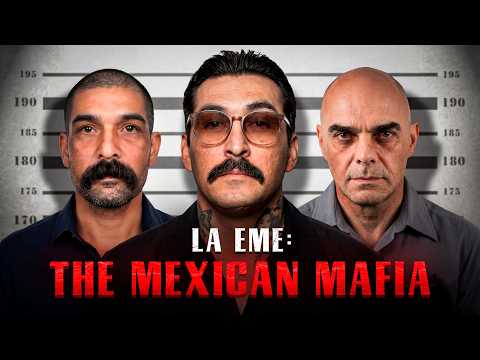 Florida Prison Gangs