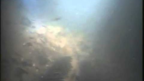 Heavy Sediment removal