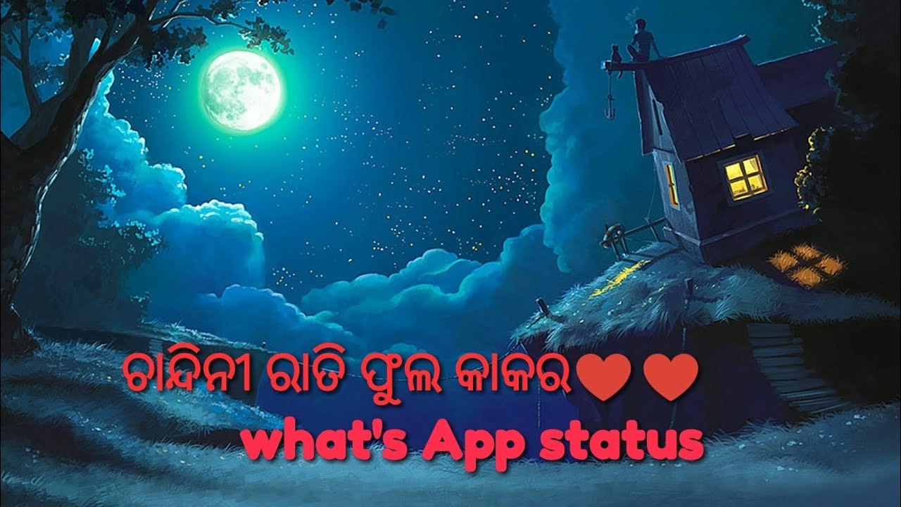 Chandini rati phula kakara Whats app status style