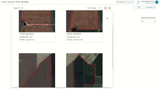 Farm Boundaries Mapping and Detection with AI-Powered PicStork