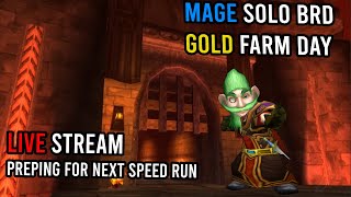 Mage Solo BRD | Prepping For Tomorrows Speed Leveling Challenge! | KallTorak Wild Growth NA